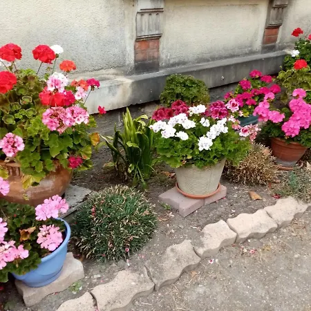 Apartman Du Pont De La Seine Troyes